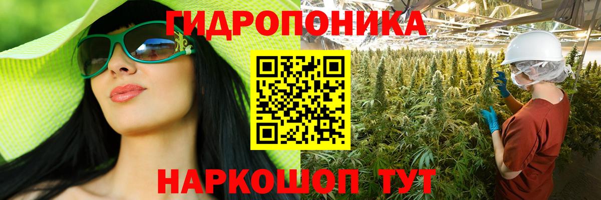 Бошки Шишки тримм Владикавказ